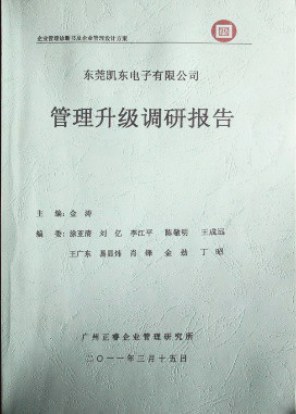 2011年3月15日，正睿咨詢專家向凱東決策層陳述調(diào)研報告